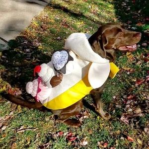 Dog ice cream sundae costume